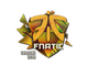 Fnatic (Holo) | Cologne 2016